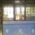Toluquilla