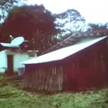 Huapala