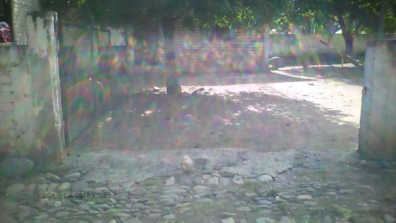 5 de Mayo Entrada