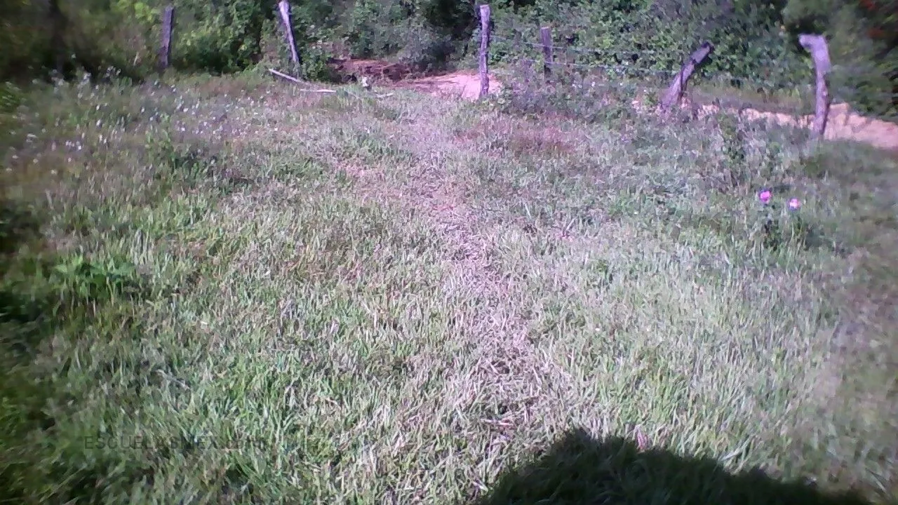Las Animas Entrada