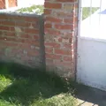 Buenavista