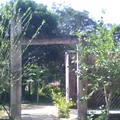 El Higueral
