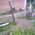 Jose Maria Morelos