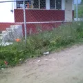 Huitzometl (la Providencia)