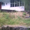Soyatlan de la Presa