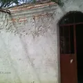 Conejo el