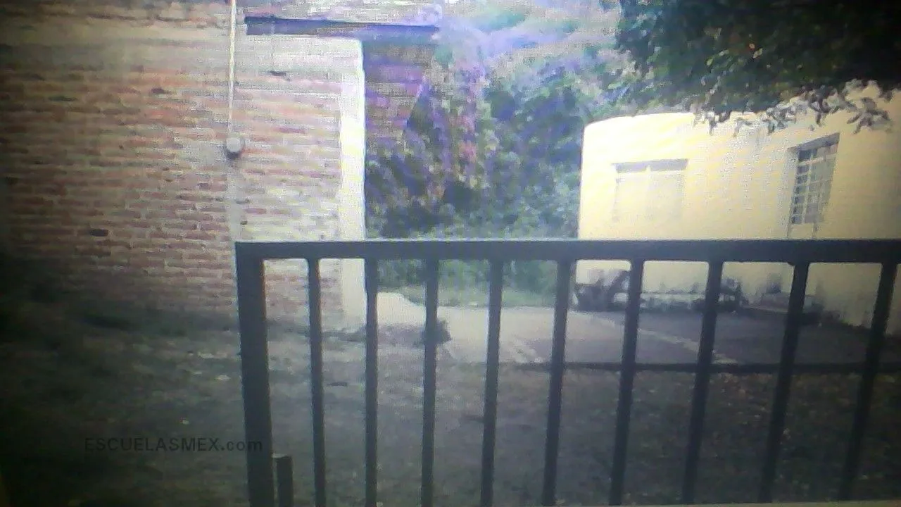 Colomo Entrada