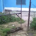 Campana