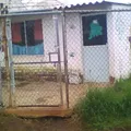 Bajio de Ratones