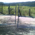 Carrizo Norte