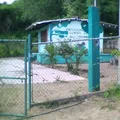Agua Caliente Vieja
