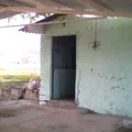 El Ocote