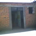 La Rana