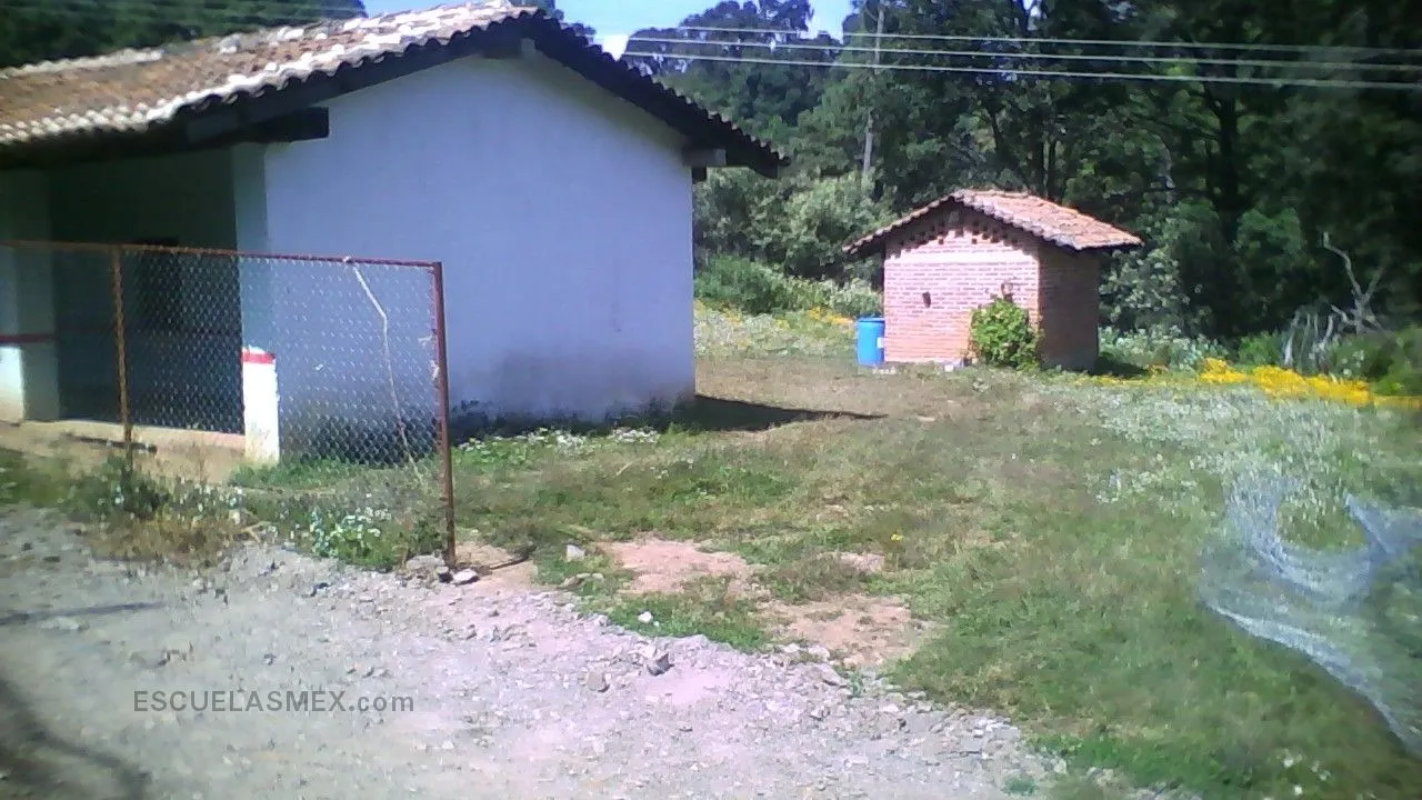 El Pitayo Entrada