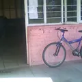 El Cacalote