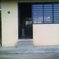 Ocote de Nuño