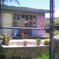 El Carrizal