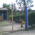 La Parrita