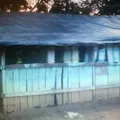 Guasimitas