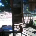 La Arboleda