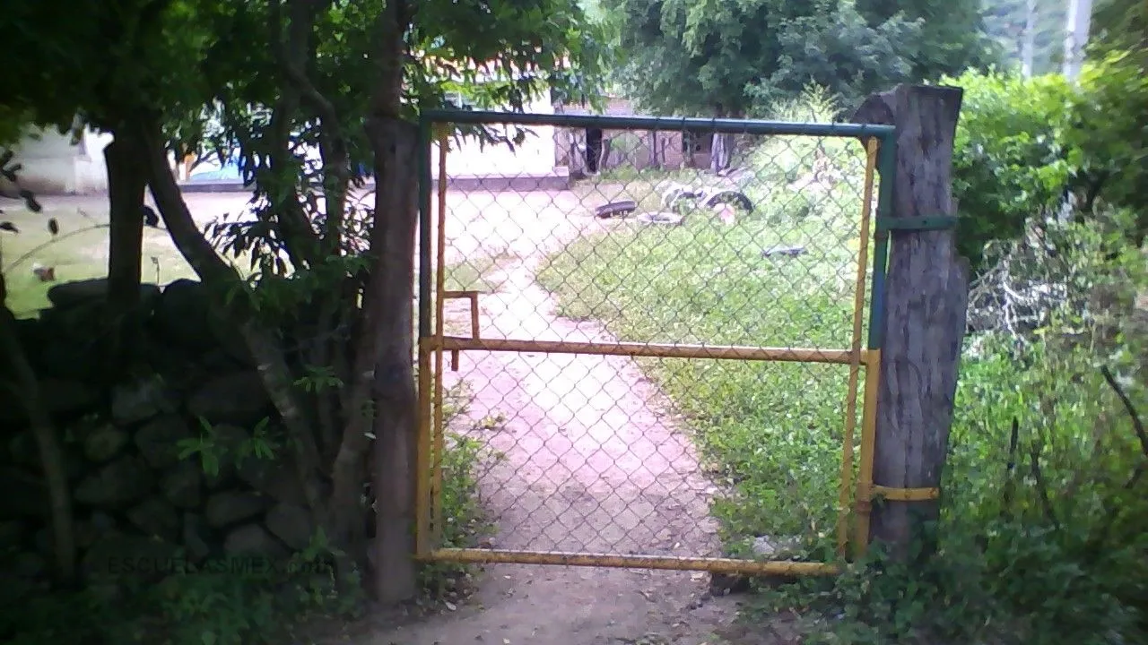 Tamazula Entrada