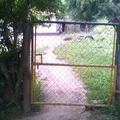 Tamazula
