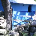 El Colomo