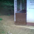 El Zapote de Limon