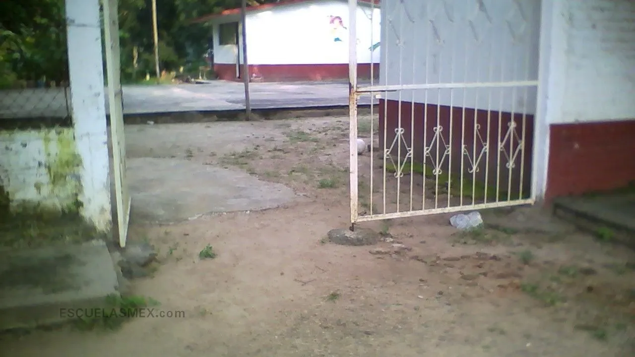 Apamila Entrada