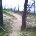 Canoitas