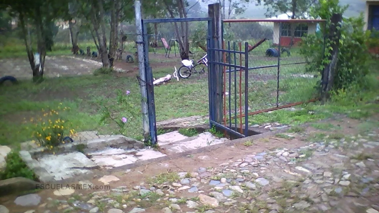 Las Cebollas Entrada