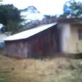 Huapala
