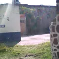 El Chilarillo