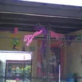 Caic Prados Tlaquepaque