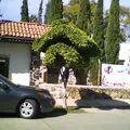 Juan Bosco