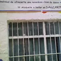 Pipila