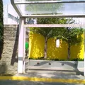 Campus Santa Anita de la Universidad Autonoma de Guadalajara