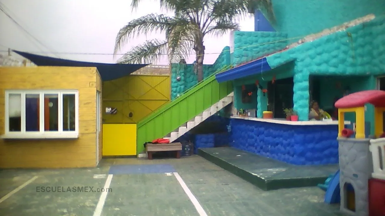 Mi Primer Paso Entrada