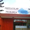 Montessori Albatros