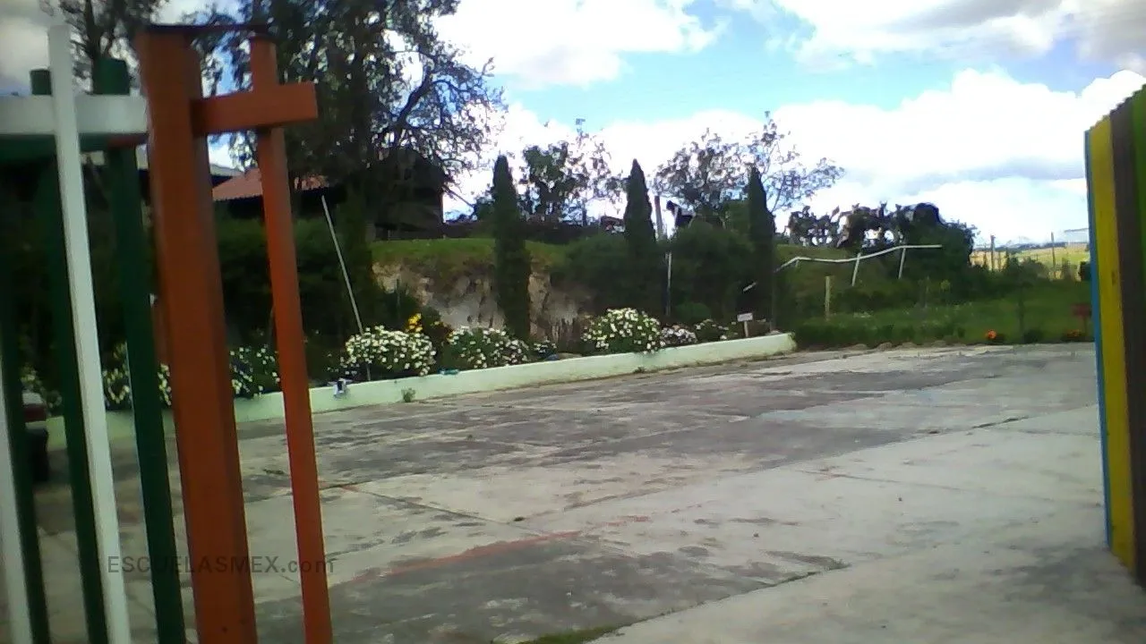 Jose Vasconcelos Entrada