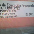 Ts Ana (quelite)