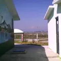 Tierra y Libertad