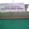 Valentin Gomez Farias