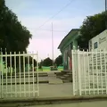 Cipactli