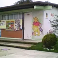 Plutarco Elias Calles