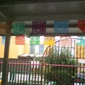 Guadalupe Borja de Diaz Ordaz