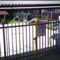 Cipactli