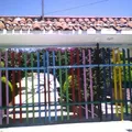 Dolores Pinedo Arce