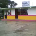 Fray Pedro de Gante