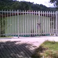 Tachi I